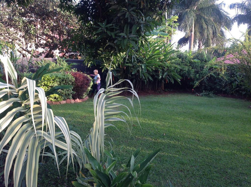 Alison & Dave'S Guesthouse Entebbe Esterno foto